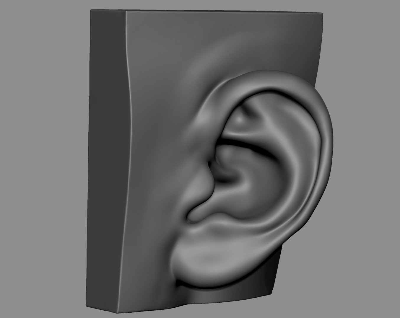 ArtStation - Ear Model Collection | Resources