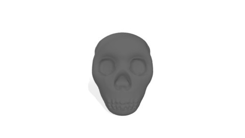 3D skull