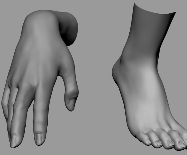 ArtStation Female Head/Hand/Foot Resources