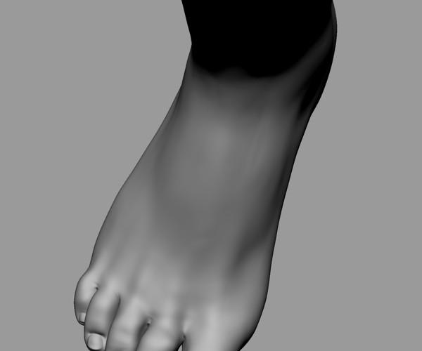 ArtStation Female Head/Hand/Foot Resources