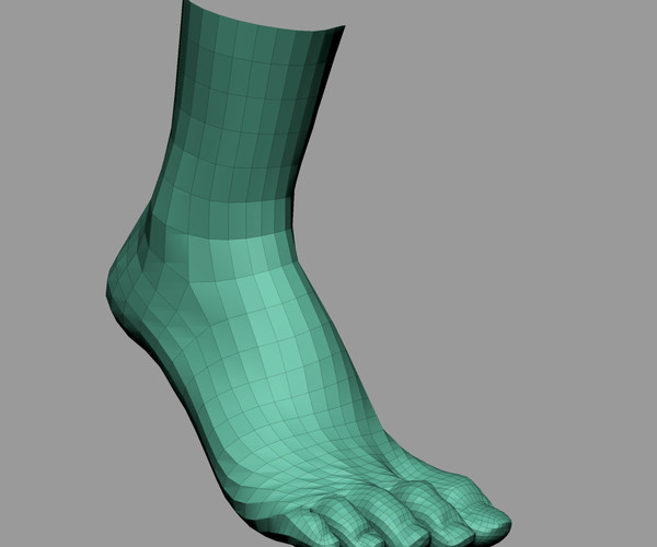 ArtStation Female Head/Hand/Foot Resources