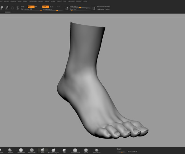 ArtStation Female Head/Hand/Foot Resources