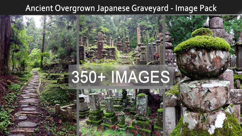 Ancient Overgrown Japanese Graveyard - Image Pack (350+)