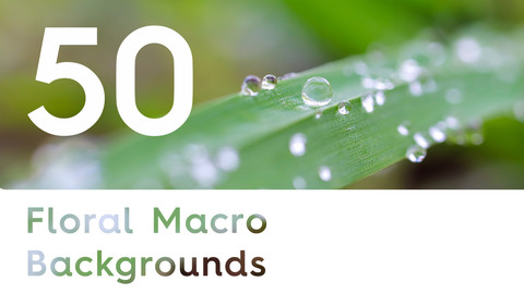50 Floral Macro Backgrounds