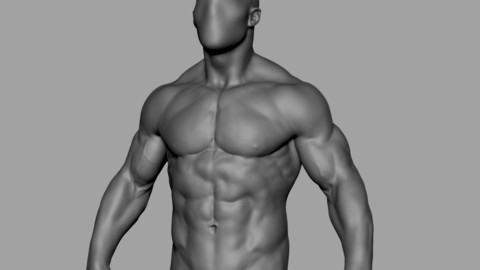 Male Torso 02
