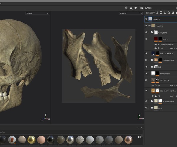 ArtStation - Human Skull - Substance Painter File | Resources