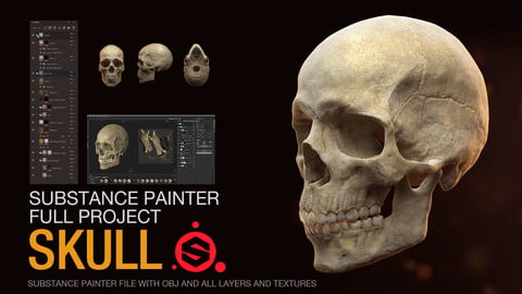 Human Skull - Substance Painter File