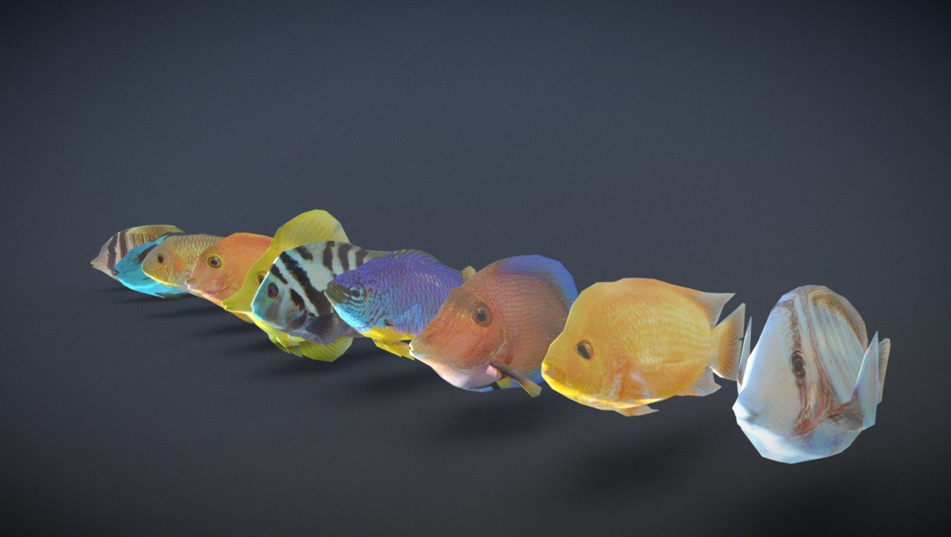 ArtStation - Fish Pack - Low Poly | Resources