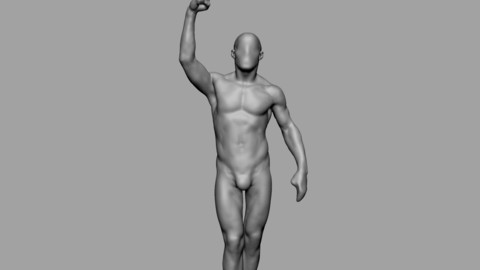 Dynamic Male Anatomy 02