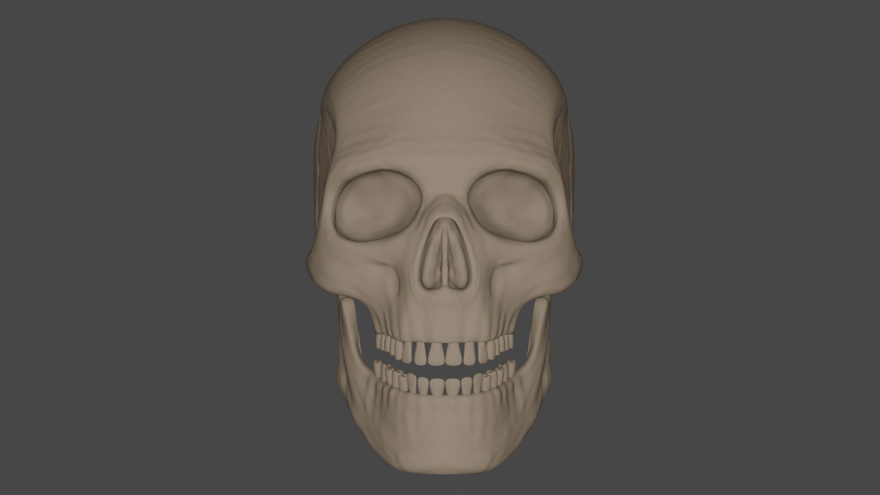 ArtStation - 3D skull | Resources