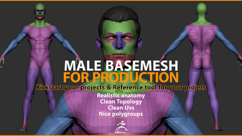 Male Basemesh for Production