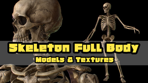 Skeleton FullBody Models&Textures