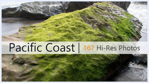 Pacific Coast | Photo Reference Pack