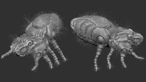 Dustmite 3D Print Ready - .ZPR, .OBJ, .STL files