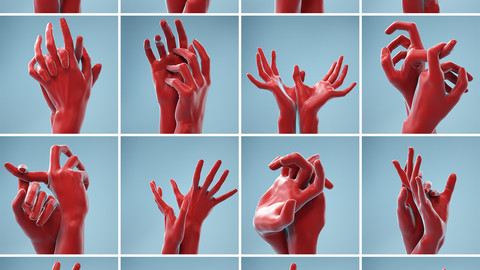 11 Interacting Hands