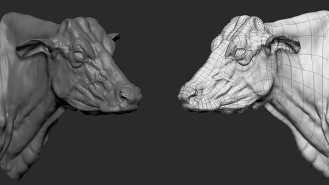 Cow bust base mesh