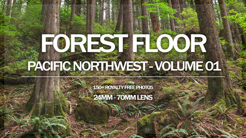 Forest Floor - Pacific NorthWest - Volume 01