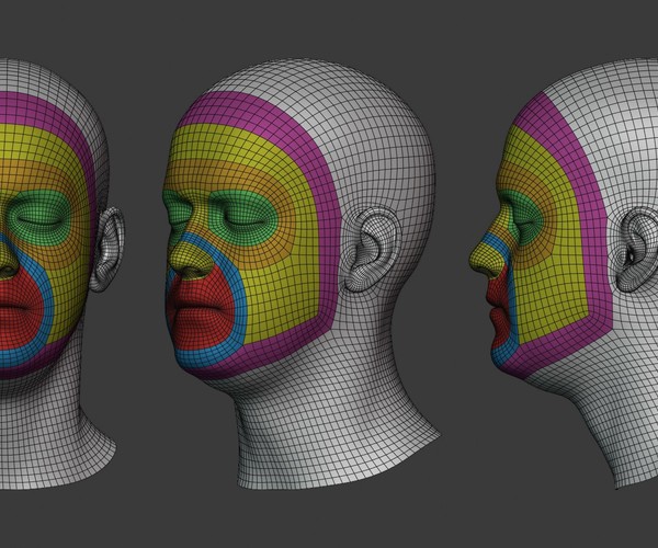 ArtStation - Base Mesh optimized for Facial Rigging | Game Assets