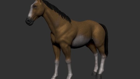 3D Real Horse