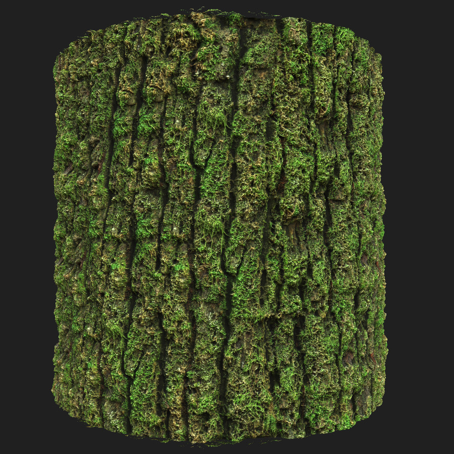 ArtStation - Mossy Tree Bark Material | Resources