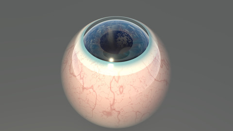 Human eyeball