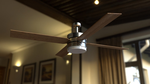 Ceiling Fan (Collection)