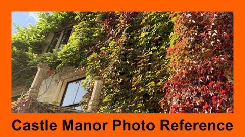 Castle Manor Photo Reference