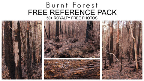 Free Reference Pack - Burnt Forest - 50+ Royalty Free Photos