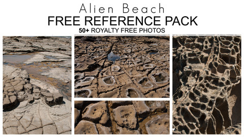 Free Reference Pack - Alien Beach - Royalty Free Photos