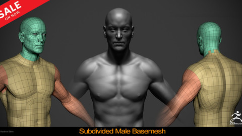 Male Basemesh - Subdivided