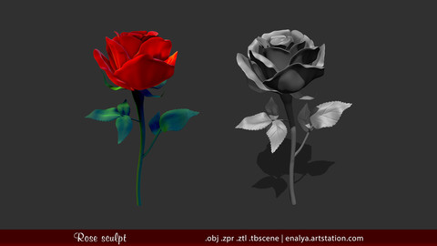 Rose - High Poly