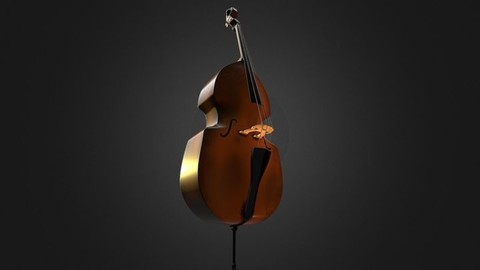 Double Bass