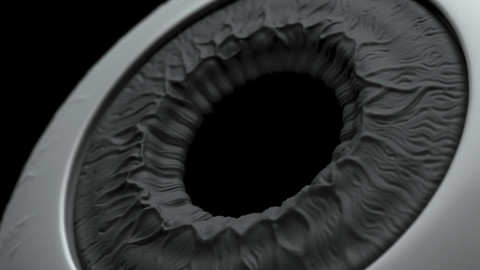 High Poly Eye