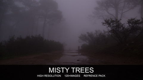 Misty Trees