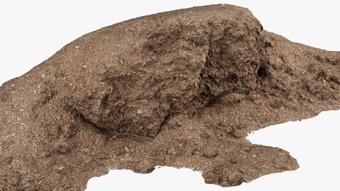 Mulch Pile - 8K Scan