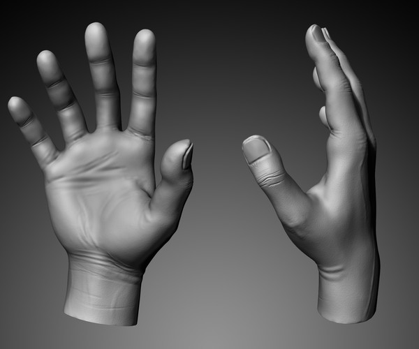 hand reference for 3d modeling