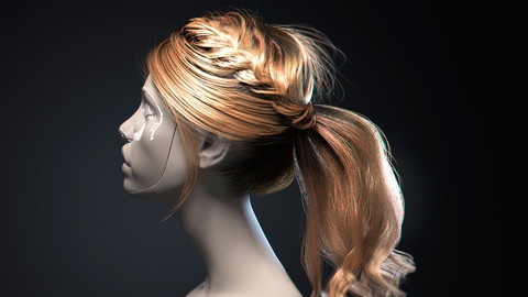 Model 3D realistic Hair