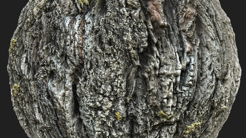 Tree Bark 5 Material Pack