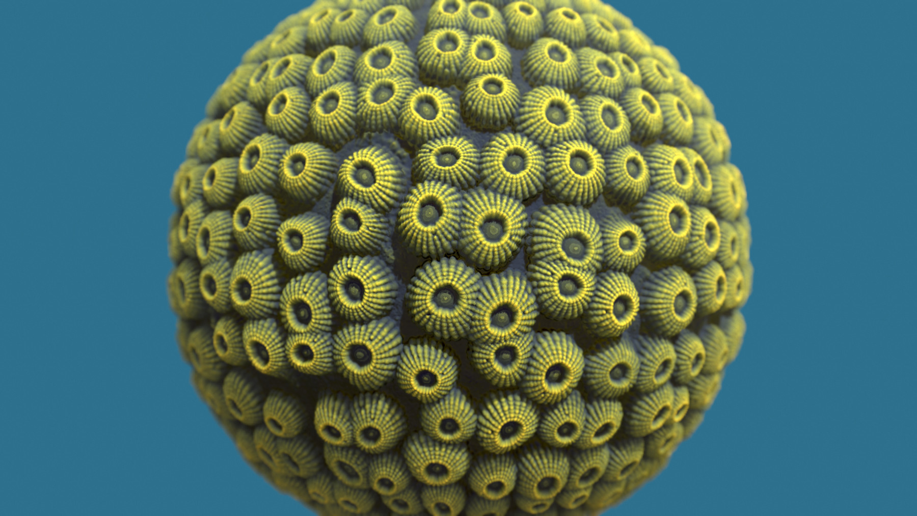 coral texture zbrush