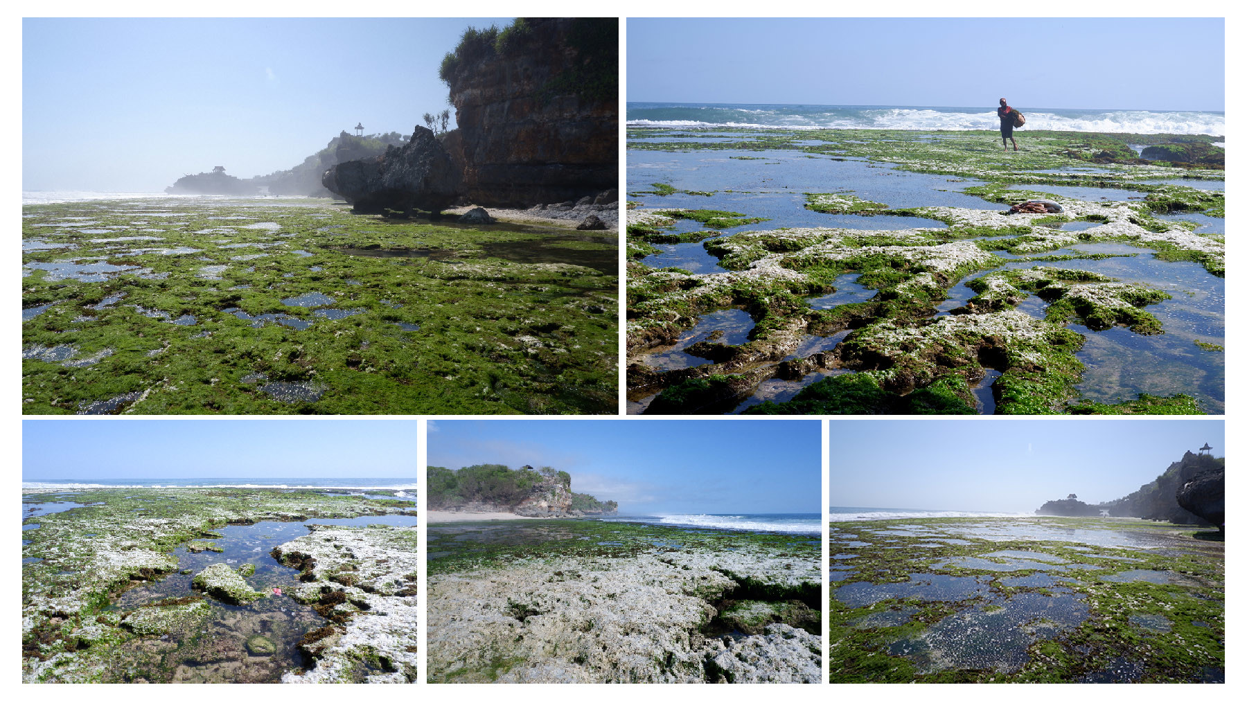 Leo Aveiro Kukup Beach Low Tide Beach In Southeast Asia