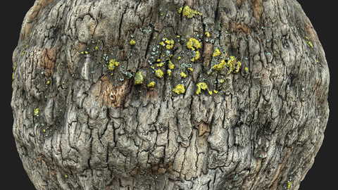 Tree Bark Material Pack