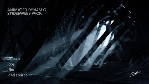 Dynamic Spiderwebs Pack