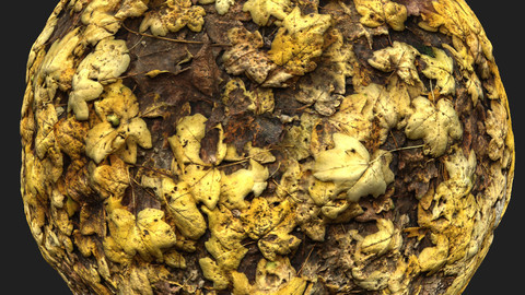 Forest Ground With Autumn Leaves Material Pack