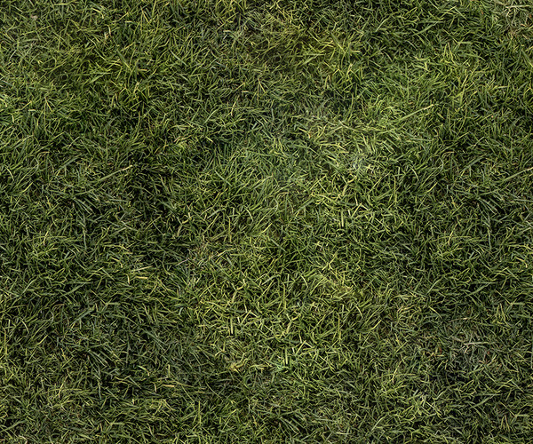 grass texture seamless 4k