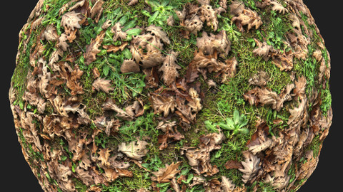 Ground With Grass And Leaves Material Pack