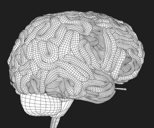 ArtStation - Maya Brain | Resources