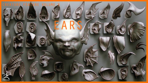 EARS - 40 ZBrush VDMs