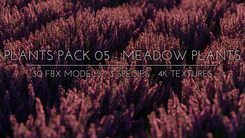 3D Plants Pack 05 - Meadow Plants