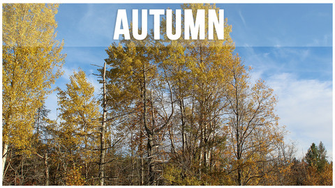 Autumn Photopack