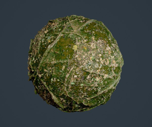 ArtStation - Forest Ground Seamless PBR Texture 04 | Game Assets